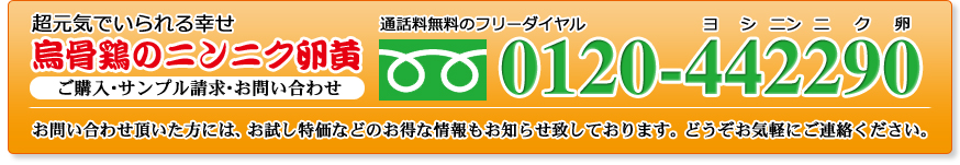 烏骨鶏のニンニク卵黄